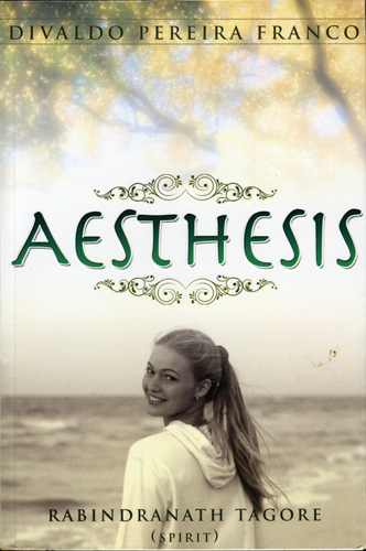 Cover of Aesthesis