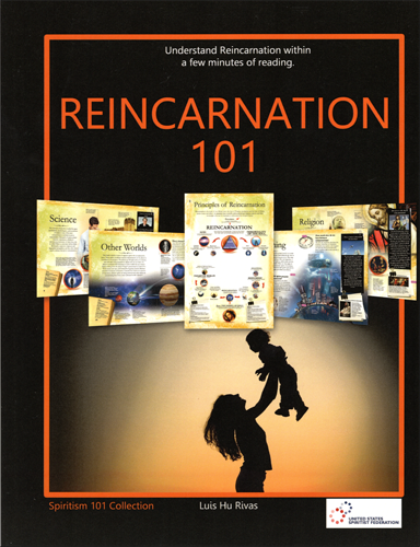 Cover of Reincarnation 101